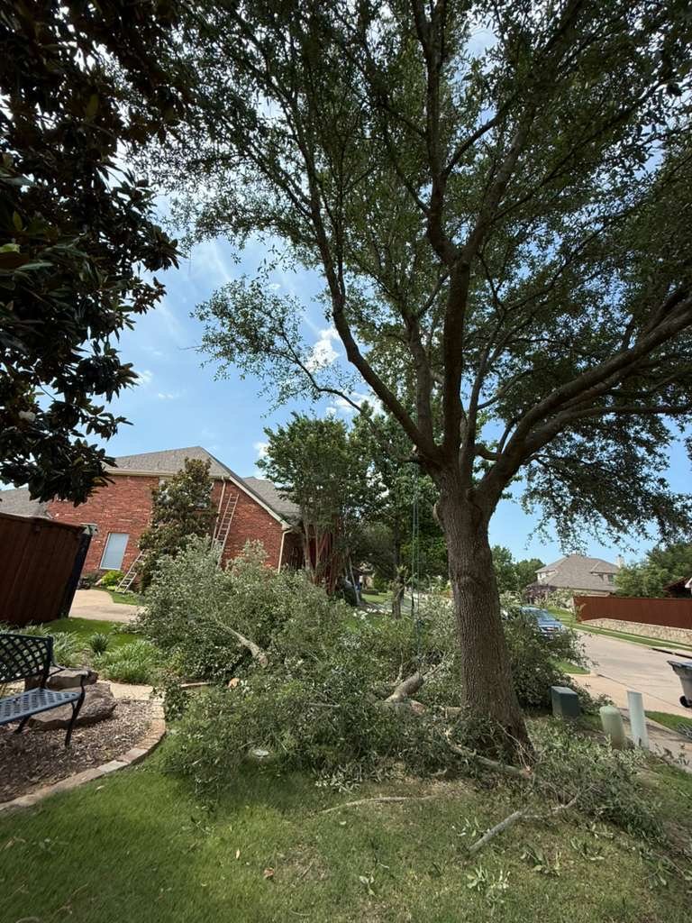 4426a52a-6f4d-4e7b-b074-4c9624647ca0